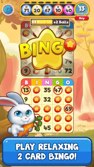 Bingo Pets Screenshot2