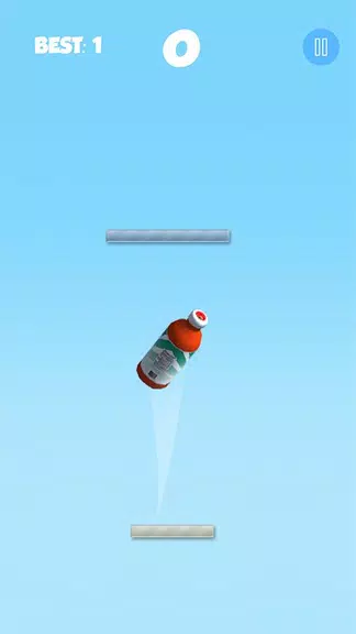 Water Bottle Flip 3D Clash Screenshot4