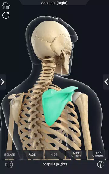 My Skeleton Anatomy Screenshot3