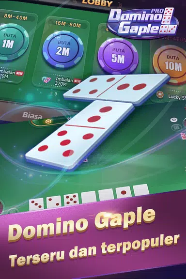 Domino Gaple Pro Screenshot3