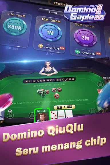 Domino Gaple Pro Screenshot4