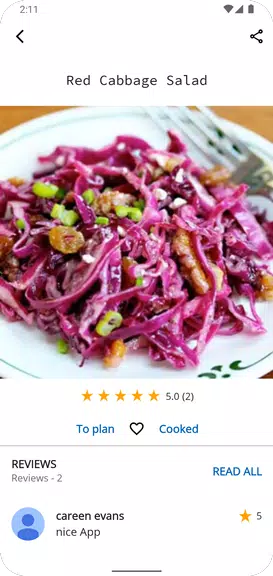 Salad Recipes for Every Day Screenshot2