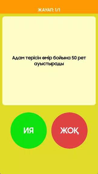 Ия немесе Жоқ Screenshot3