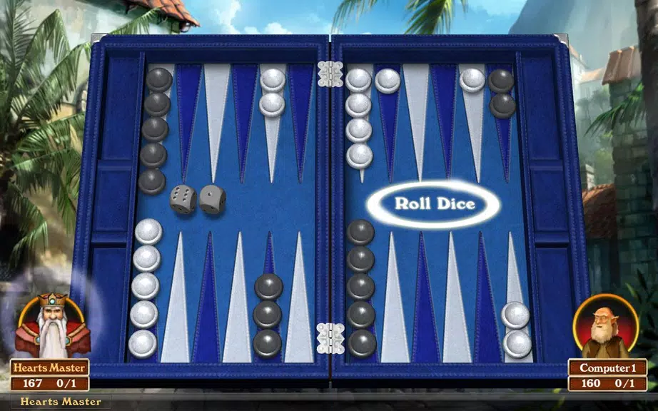 Hardwood Backgammon Screenshot3