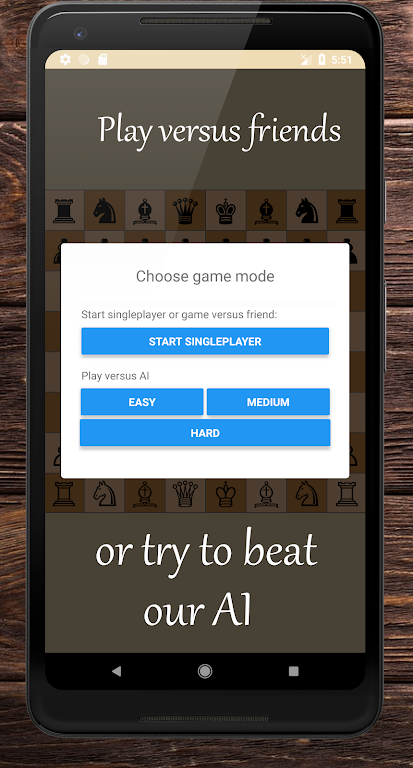 RSG Chess Screenshot2