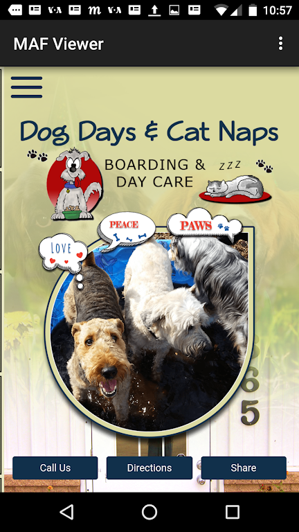 Dog Days & Cat Naps Screenshot1