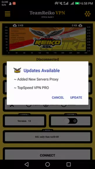 TeamReiko SSL VPN Screenshot3