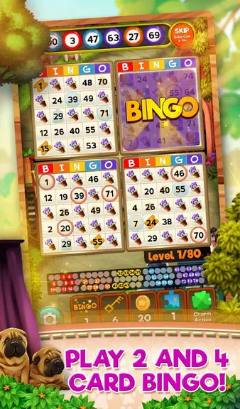 Bingo Pets Party: Dog Days Screenshot1