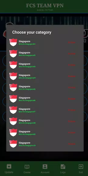 FCS TEAM VPN Screenshot4