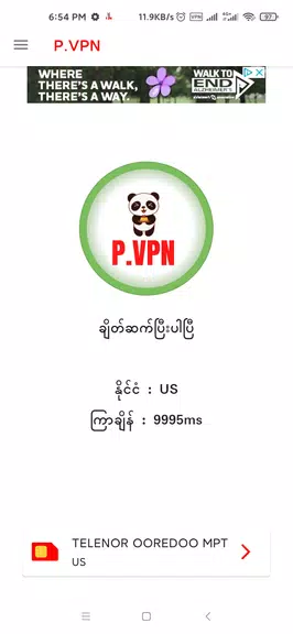 P-VPN Screenshot3