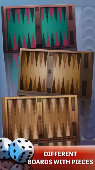 Backgammon-Offline Board Games Screenshot2