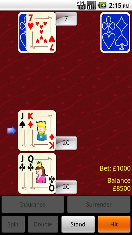 Blackjack Challenge Free Screenshot1