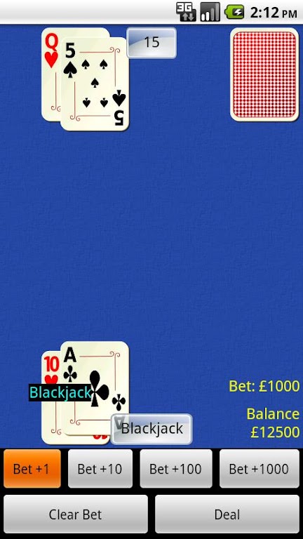 Blackjack Challenge Free Screenshot2