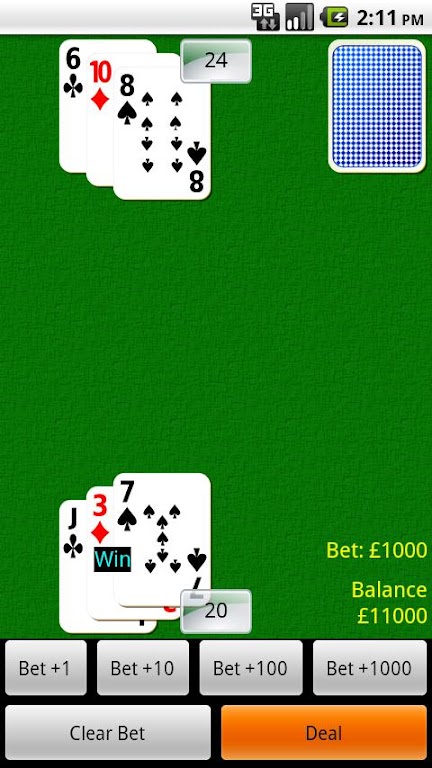 Blackjack Challenge Free Screenshot3