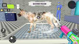 Animal Shelter Pet Rescue Sim Screenshot1