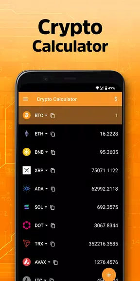 Crypto Calculator Screenshot3