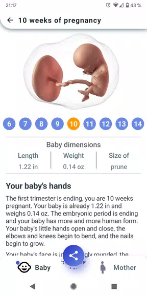 My Pregnancy - Week by Week Screenshot2