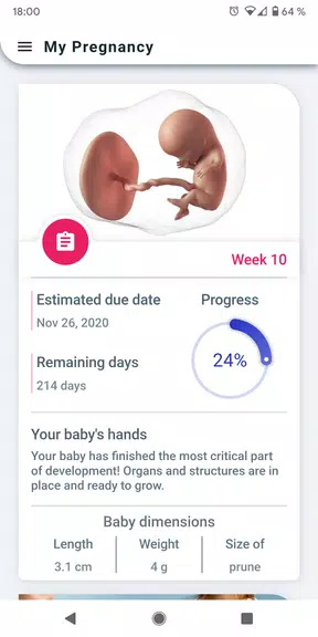 My Pregnancy - Week by Week Screenshot1