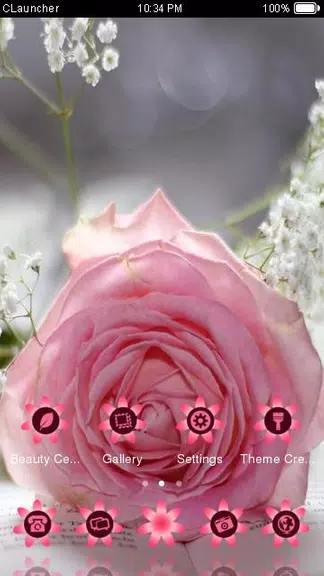 Pretty Pink Rose Theme Screenshot3