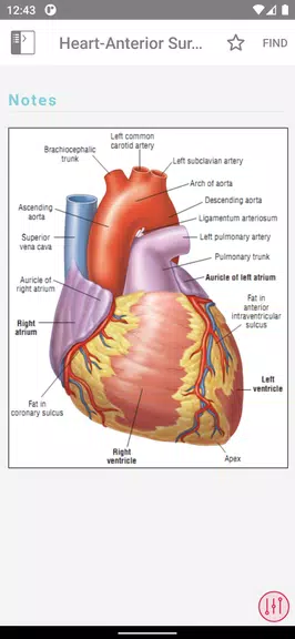 ECG Notes: Quick look-up ref. Screenshot3