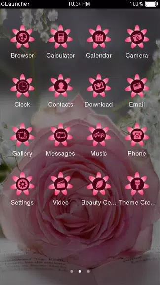 Pretty Pink Rose Theme Screenshot2