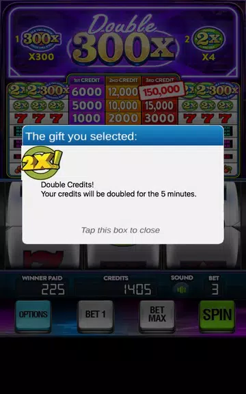 Double 300x Slot Machine Screenshot3