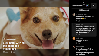 TikTok for Android TV Screenshot3