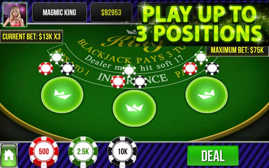 Blackjack King Screenshot3