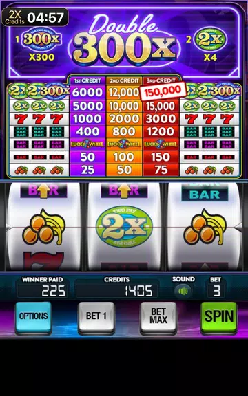 Double 300x Slot Machine Screenshot2