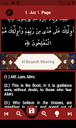 The Holy Quran and its Meaning Screenshot4