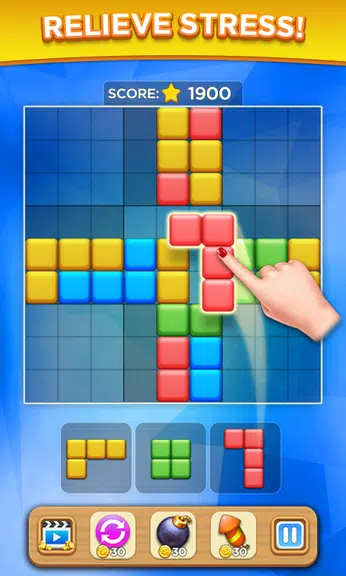 Block Sudoku Puzzle Screenshot2