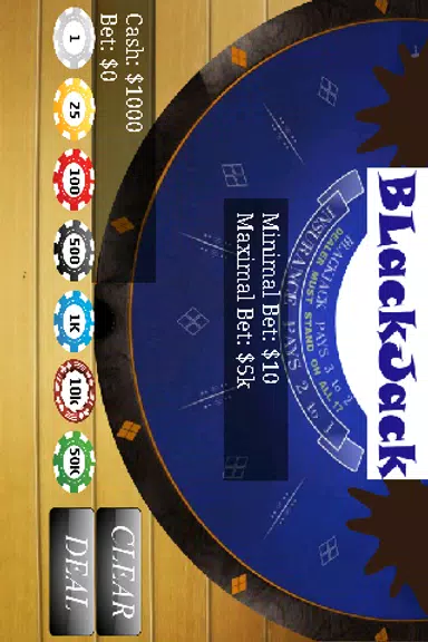 BlackJack 21 Casino Free Screenshot3