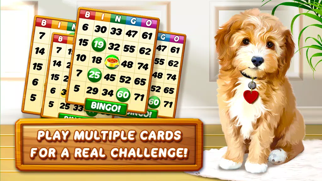 Bingo Dog - Fun Game 2022 Screenshot3