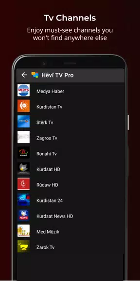 Hêvî TV Pro Screenshot4