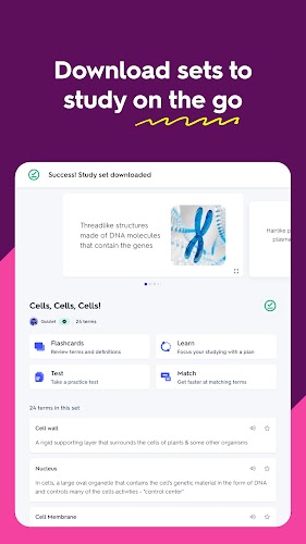 Quizlet: AI-powered Flashcards Screenshot13