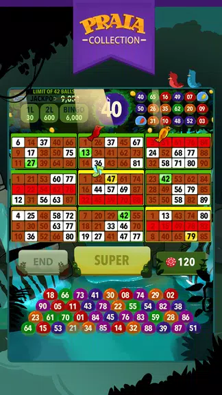 Video Bingo Ubatuba Screenshot3