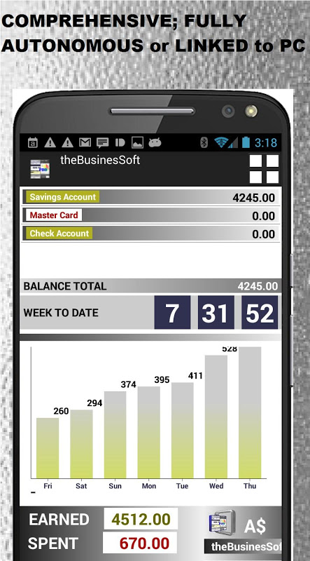 Small Business Accounting PRO Screenshot1