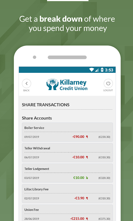 Killarney Credit Union Screenshot3