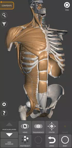 3D Anatomy for the Artist Screenshot2