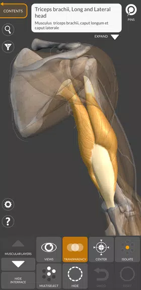 3D Anatomy for the Artist Screenshot3