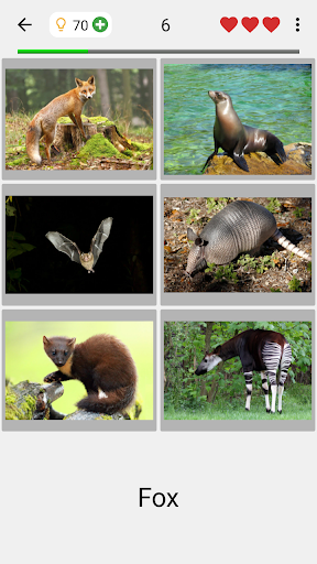 Animals Quiz - All Mammals Zoo Screenshot4