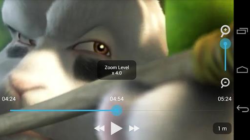 Zoom Player Screenshot1