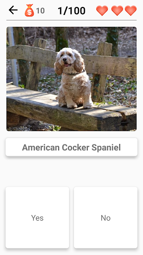 Dog Breeds - Quiz about all dogs of the world! Screenshot2