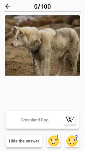 Dog Breeds - Quiz about all dogs of the world! Screenshot1