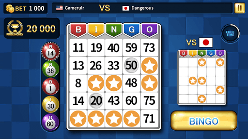 Bingo Master King Screenshot2