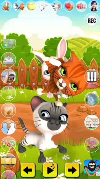 Talking Cat and Bunny Screenshot2