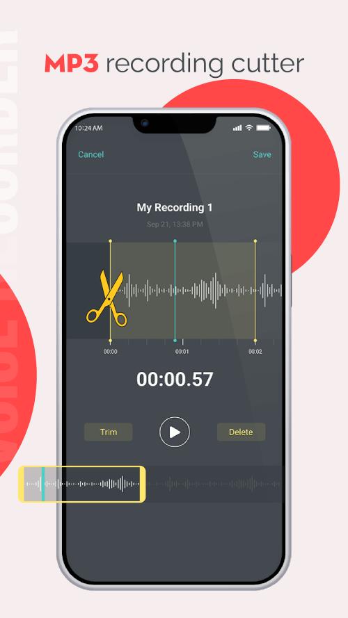 Audio Recorder Screenshot2