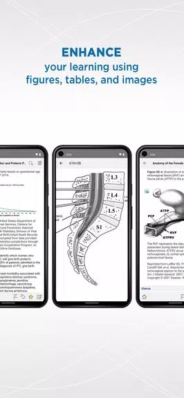 Gynecology and Obstetrics Screenshot2