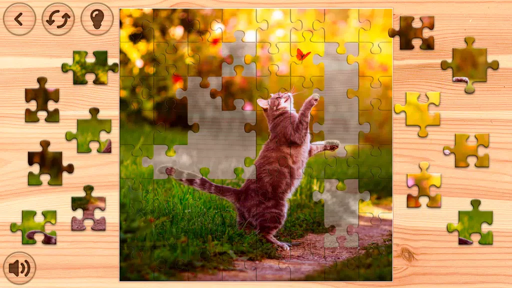 Jigsaw Puzzles Offline: Puzzle Screenshot2