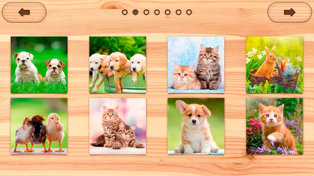 Jigsaw Puzzles Offline: Puzzle Screenshot1